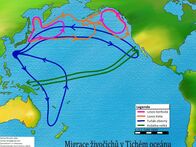 19_MigraceivoichvTichmocenu