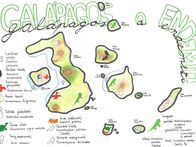 Galapgosaendemiti