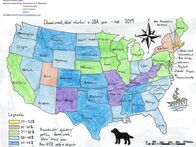 24_domacnosti_usa_se_psem