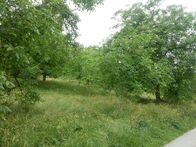 IMG_20210701_092140