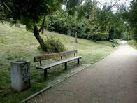 IMG_20210701_092515