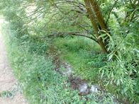 IMG_20210701_092522