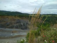 IMG_20210701_092641