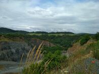 IMG_20210701_092651