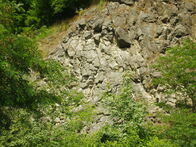 IMGP7728
