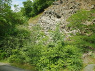 IMGP7734
