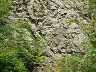 IMGP7742