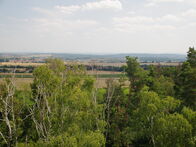 IMGP7750