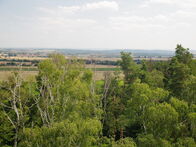 IMGP7751