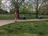 IMG_6422
