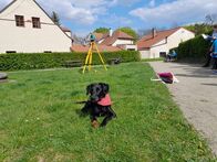 IMG_9502