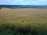 IMG_20220702_144106