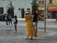 IMG_1278