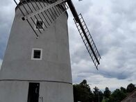 IMG_3896 (7)