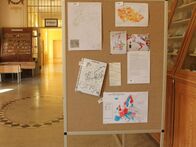 IMG_7409