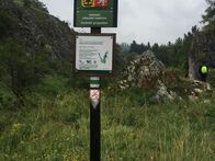 IMG_0220