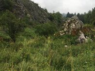 IMG_0221
