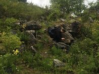 IMG_0252