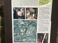 IMG_0271