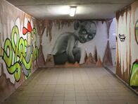 IMG_8398