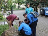IMG_8406