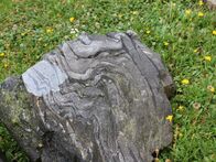 IMG_8416