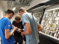 IMG_8446
