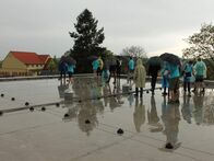 IMG_5561