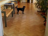 IMAG0351