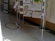 IMAG0372