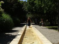 IMG_1483