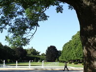 IMG_0559