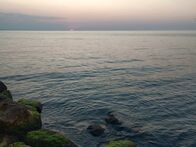 IMG_20260701_053353